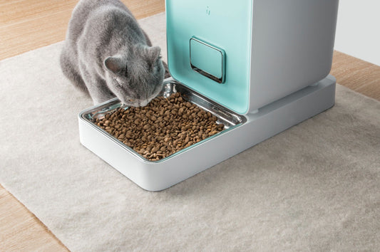 Smart Pet Food Feeder: Wi-Fi Enabled with 6L Capacity
